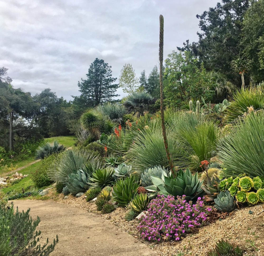 UCSC Arboretum, Santa Cruz, California