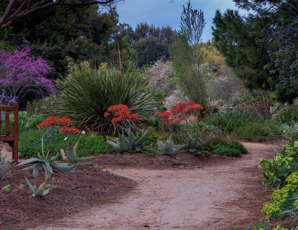 UC Davis Arboretum in Davis, California