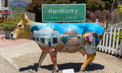 8 Fun Things to Do in Harmony, CA