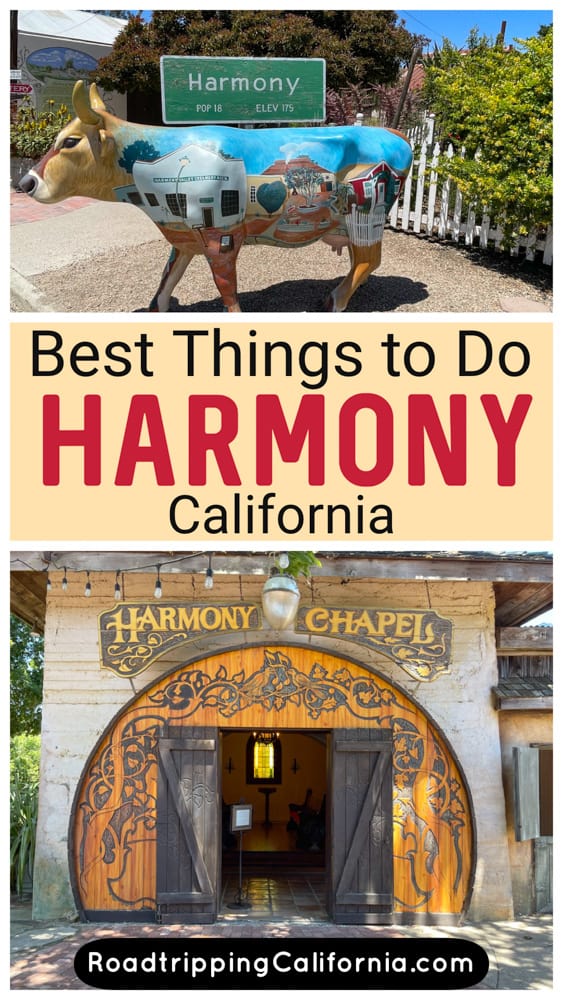 Discover fun things to do in harmony, California on the Central Coast! Wine tasting, ice cream, art, history, hiking, and more!