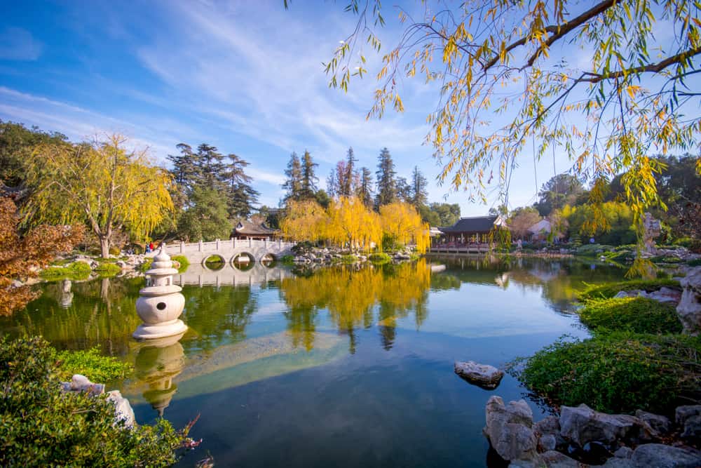 The Chinese Garden is one of the top gardens at the Huntington Library and Gardens near Pasadena, California