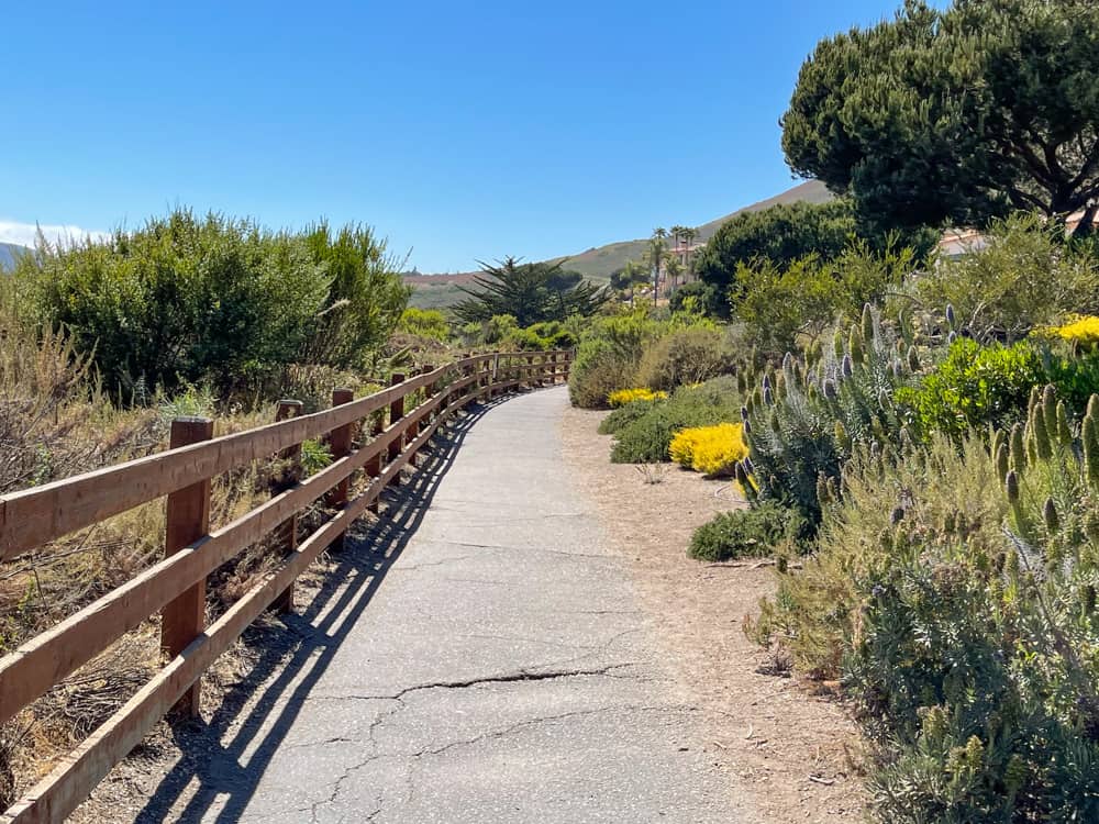 Avila Beach hiking trail in California