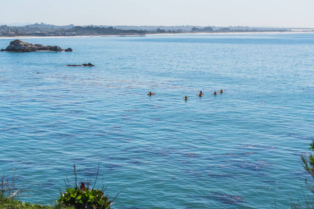 Sea kayaking around Pismo Beach California