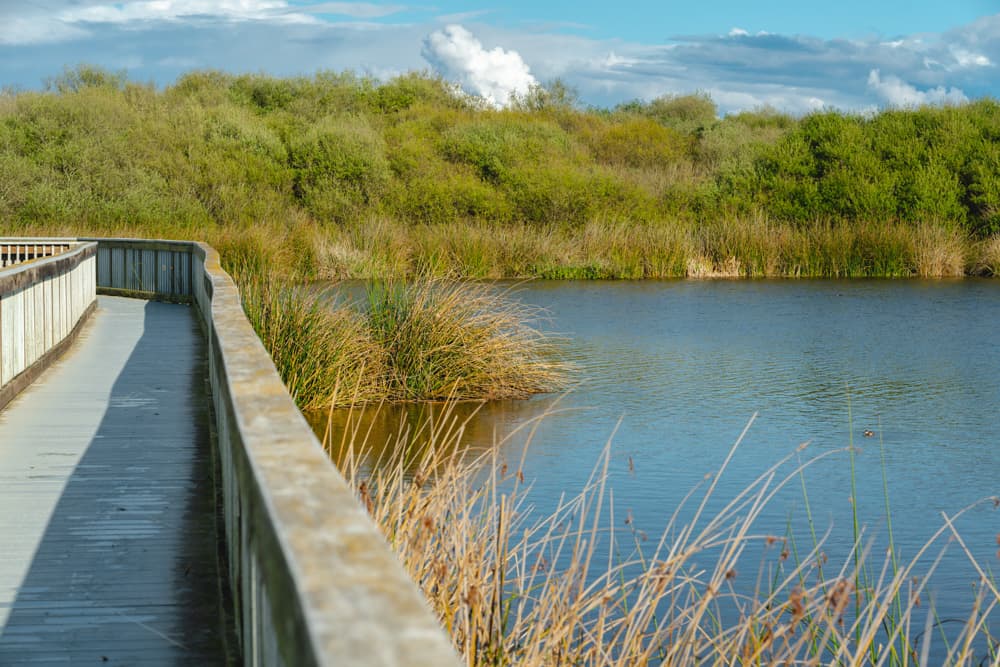 Oso Flaco Lake south of Pismo Beach California