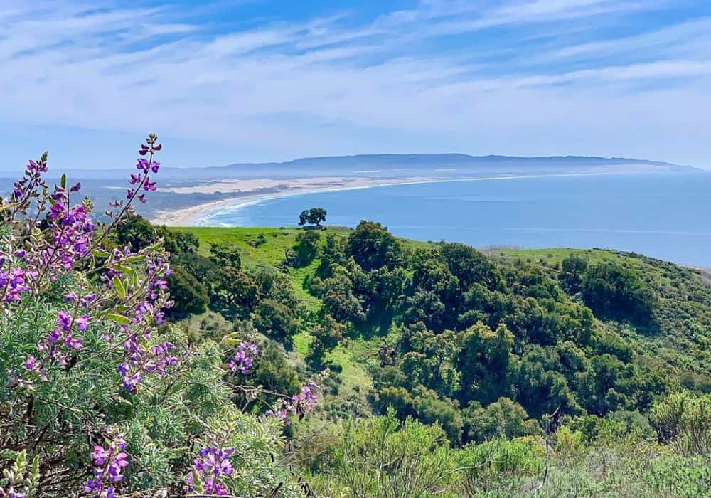 View from Pismo Preserve in Pismo Beach, California