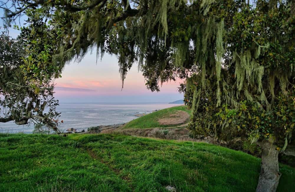 View from trail in Pismo Preserve in Pismo Beach, California