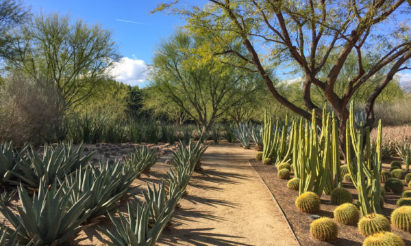 Visiting Sunnylands Center and Gardens near Palm Springs, CA