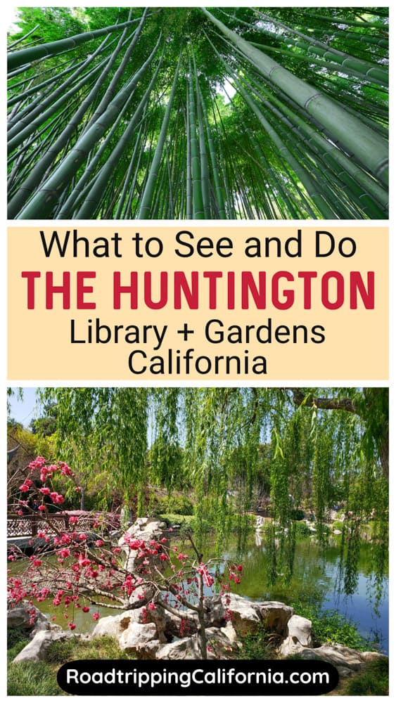 Discover the best things to see and do at the Huntington Library and Botanical Gardens in San Marino ,California!