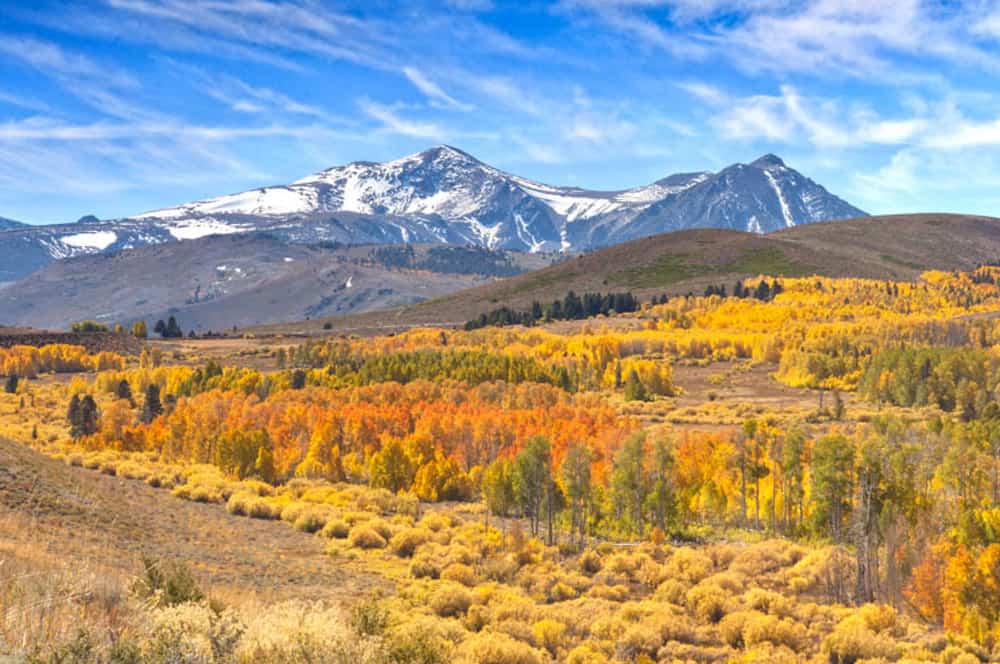 Conway Summit Eastern Sierra CA