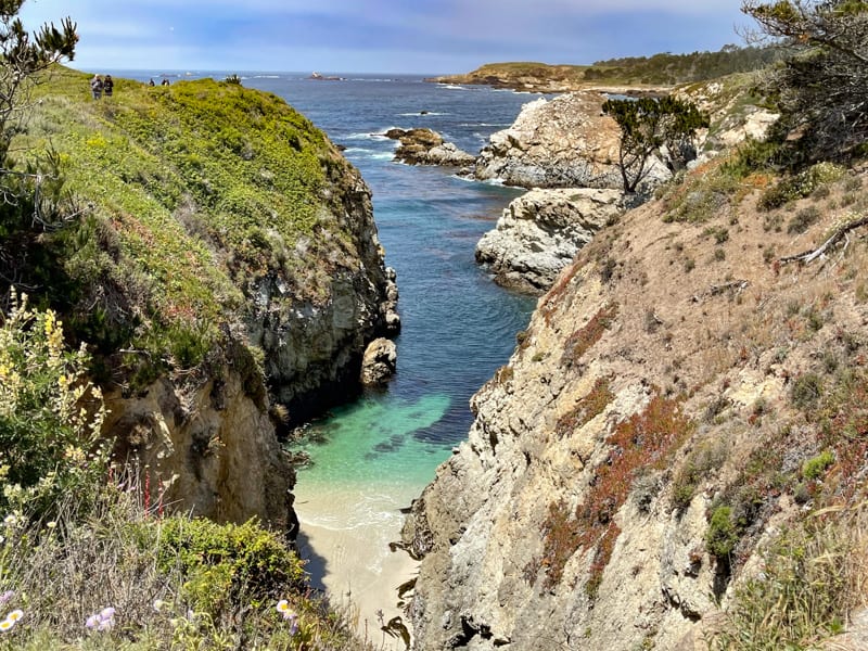 A view from the Bird Island Trail in Point Lobos, CA