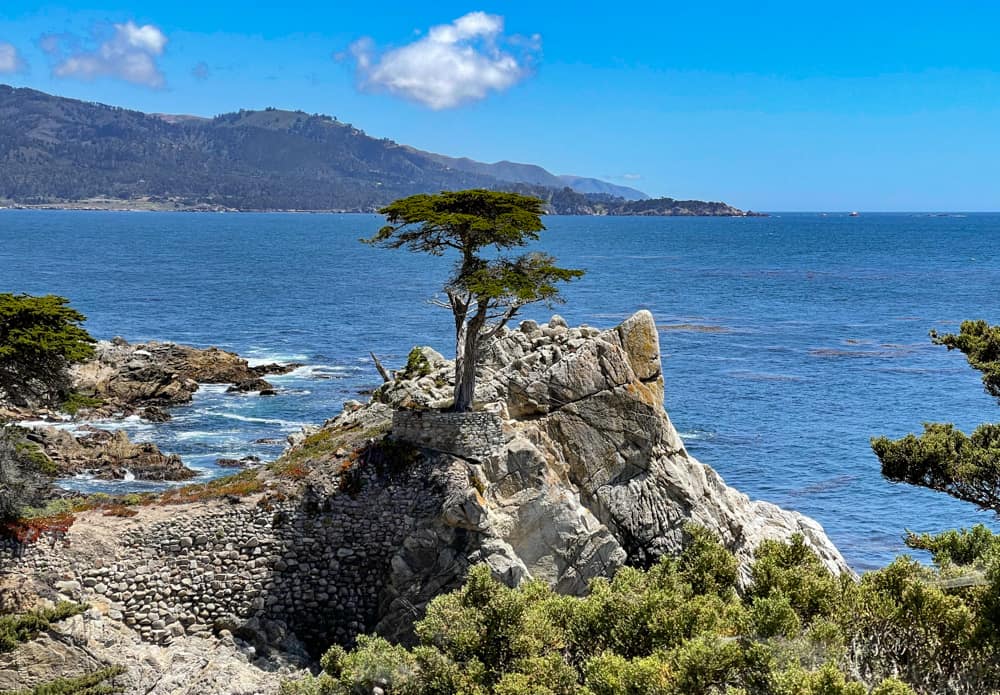 Lone Cypress, Pebble Beach, California