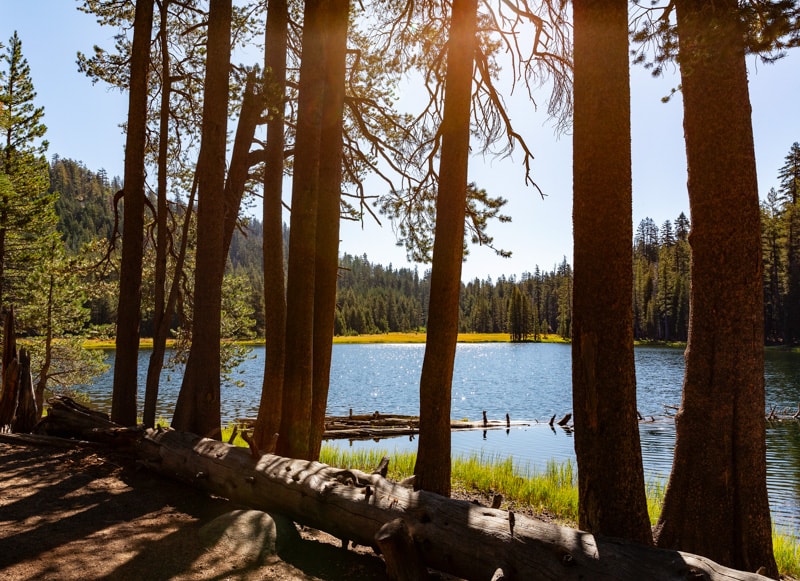 Lukens Lake Tioga Road California