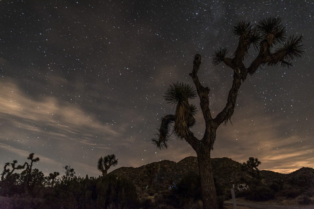 Stargazing in Joshua Tree National Park should definitely be on a California road trip itinerary!