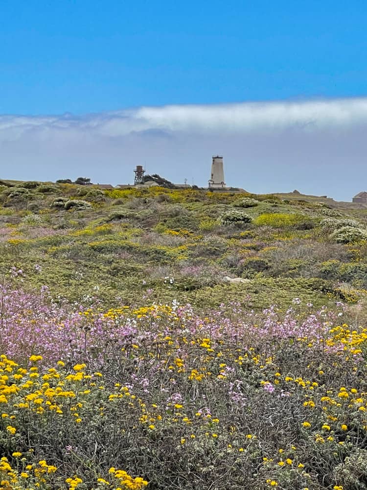 Piedra Blancas Light Station near Cambria, California