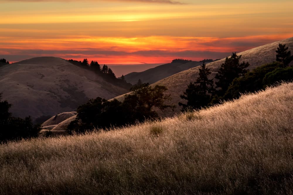 Sunset in the Santa Cruz Mountains in California