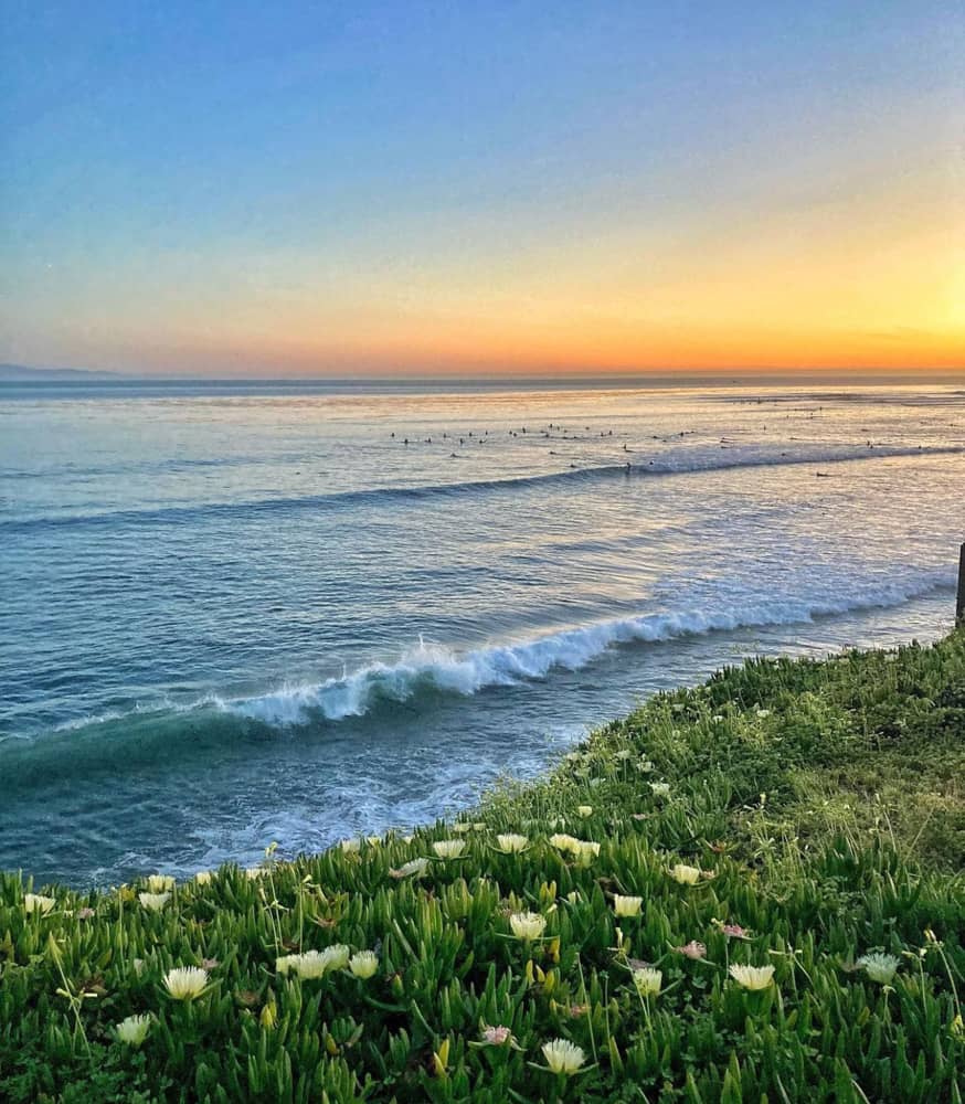 Surfers in the water at Pleasure Point in Santa Cruz California