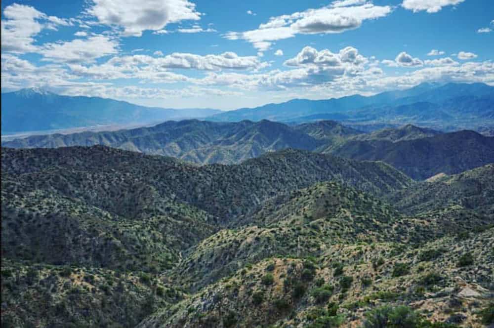 View from Warren Peak in Joshua Tree California