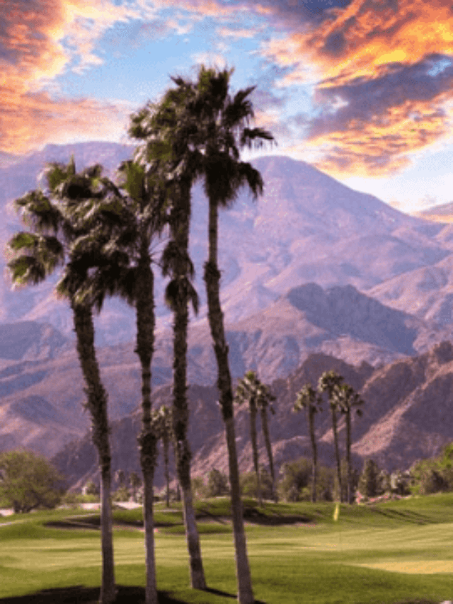 What to Do in Palm Springs Story