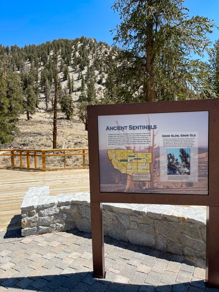 Information sign at the Visitor Center