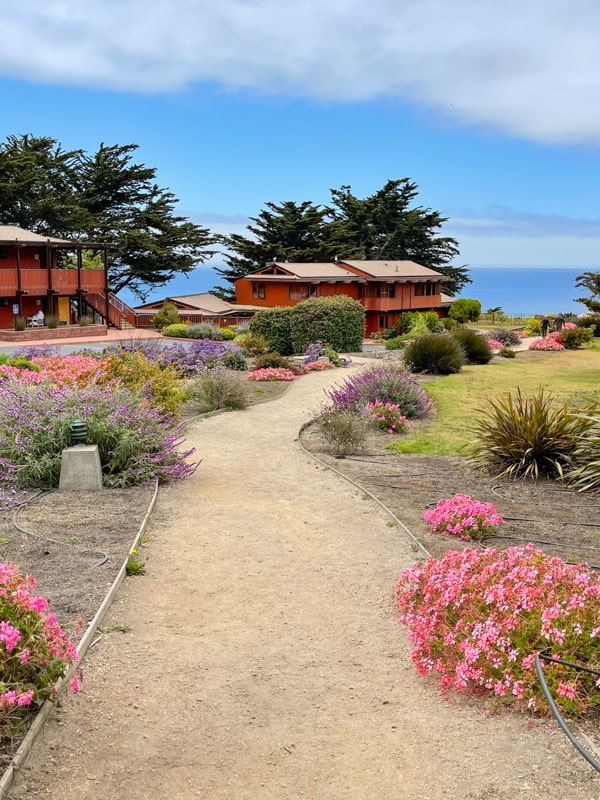 Strolling the walkway at Ragged Point Inn in Big Sur, California