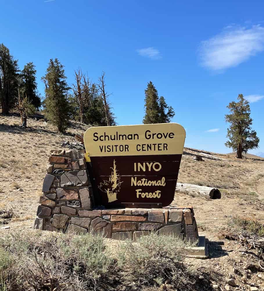 Schulman Grove Sign