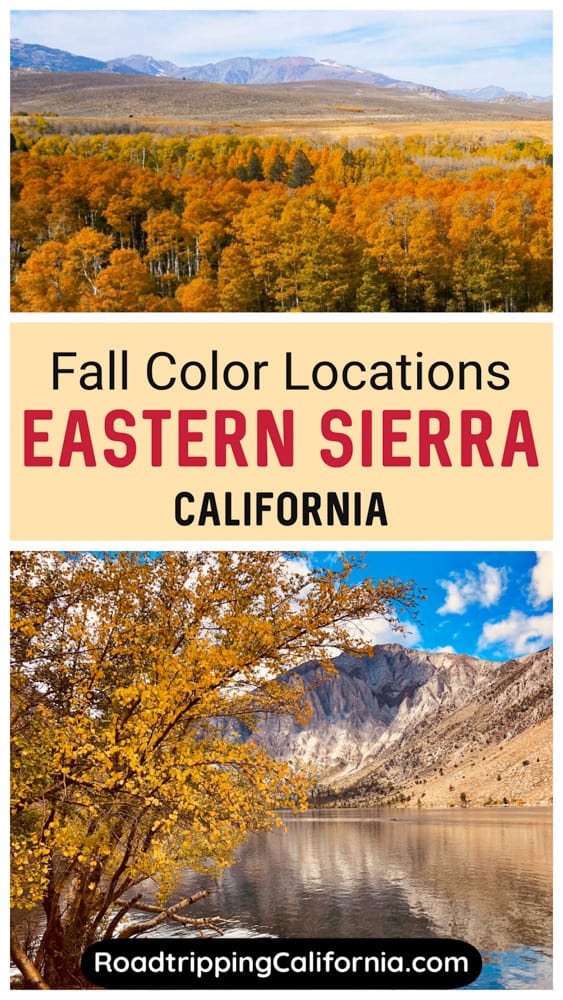 Discover the most spectacular places to see fall colors in the Eastern Sierra of California, from Bishop Creek Canyon to Convict Lake, June Lake and more!