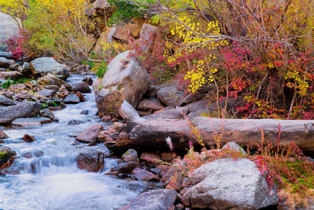 Bishop Creek in Bishop, California, in the fall