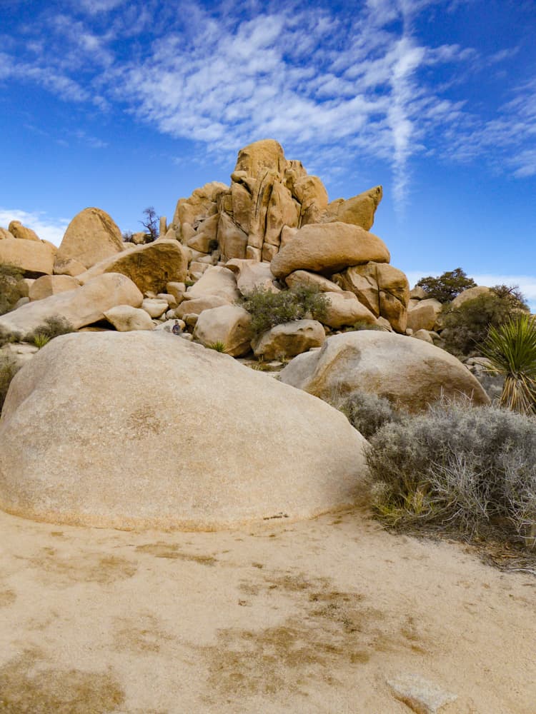Rock scrambling possibilities in Joshua Tree National Park are endless!
