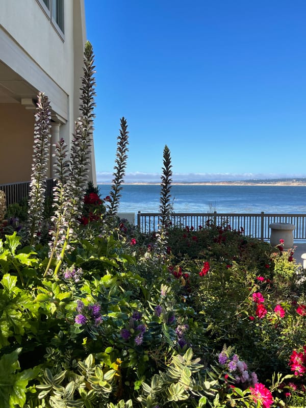 Views of the bay from Cannery Row in Monterey, CA