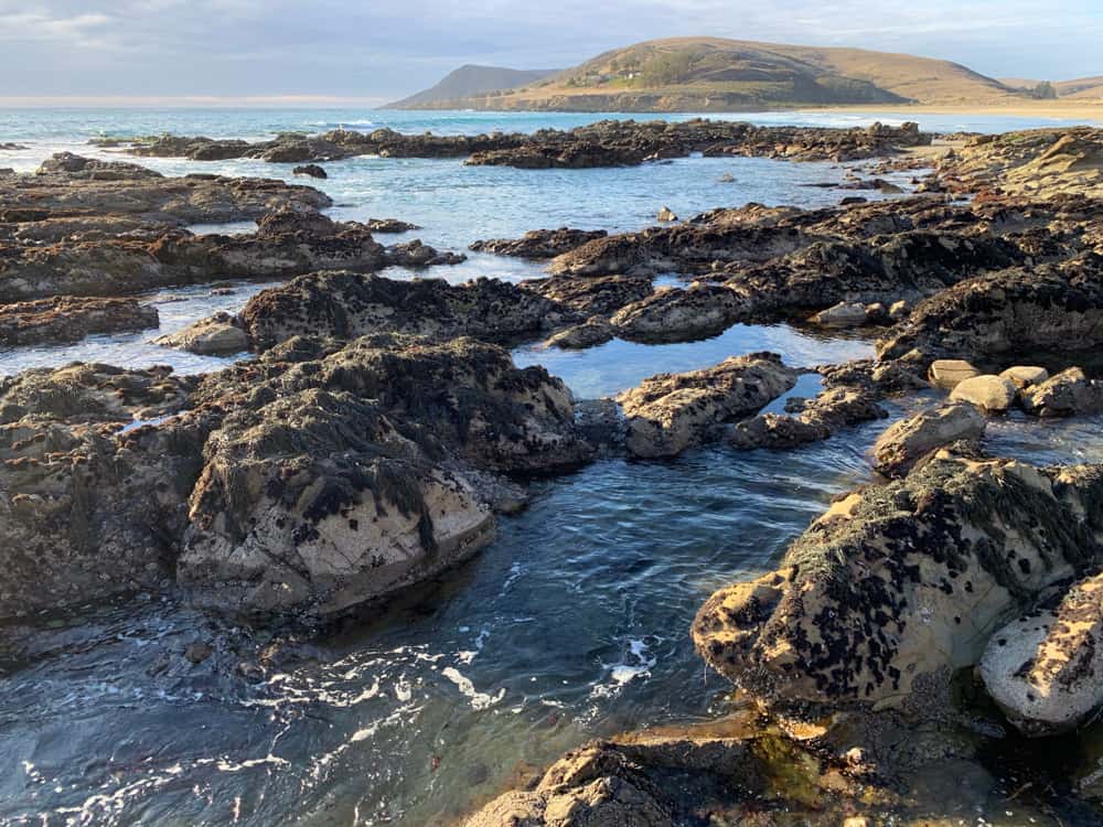 Estero Bluffs State Park near Cayucos, CA