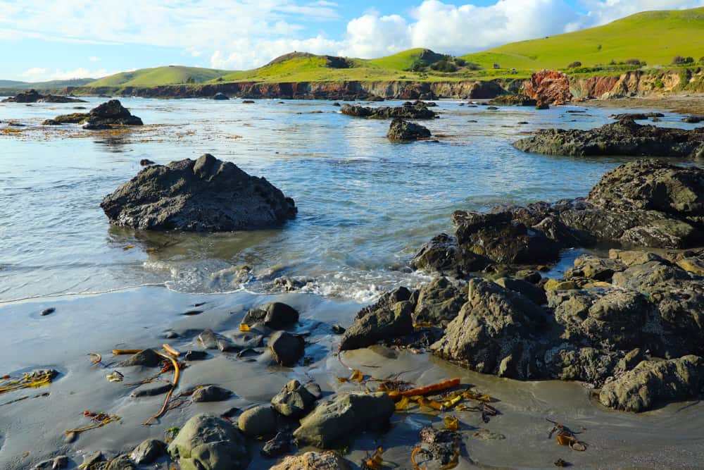 Estero Bluffs State Park, Cayucos, California