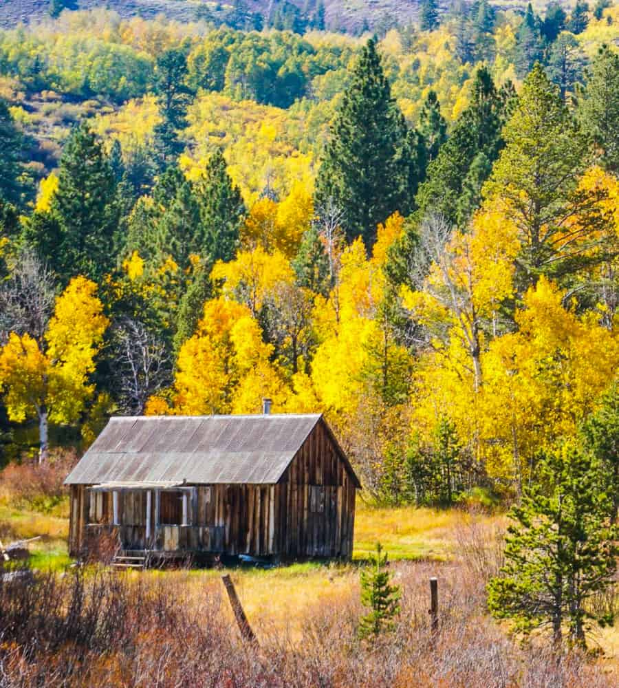 Cabin at Hope Valley in California in the fall