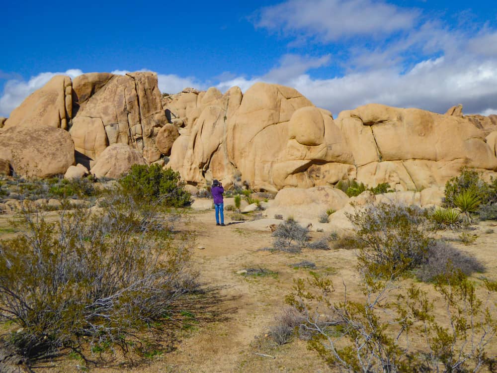 Boulders at Joshua Tree NP in California