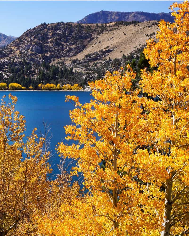 June Lake, CA in autumn