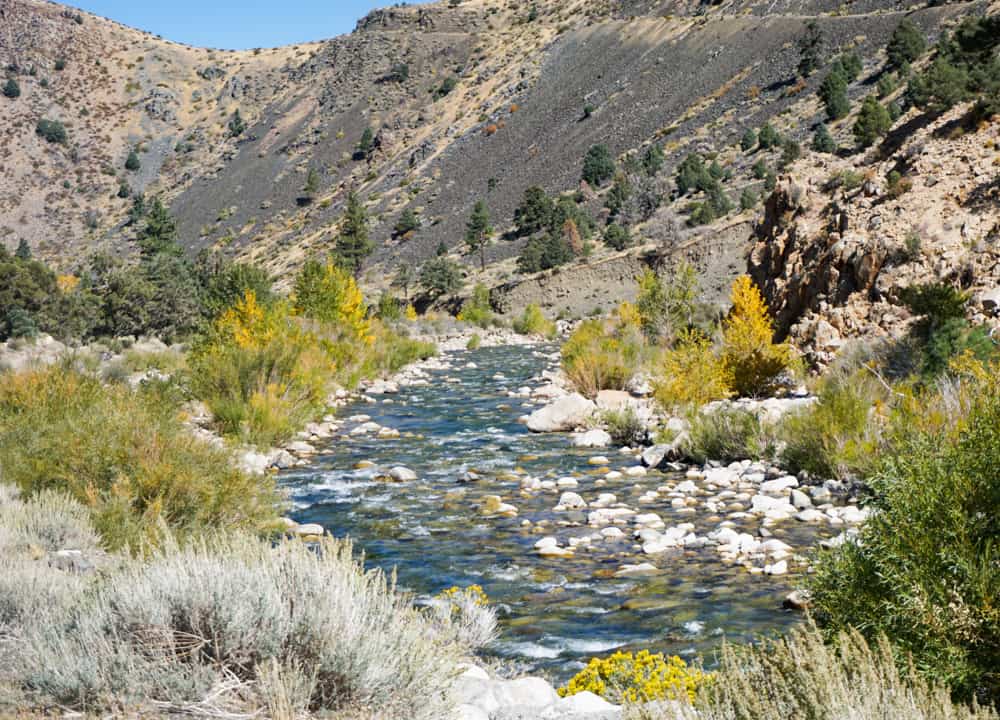 The Walker River Canyon in the Eastern Sierra of CA