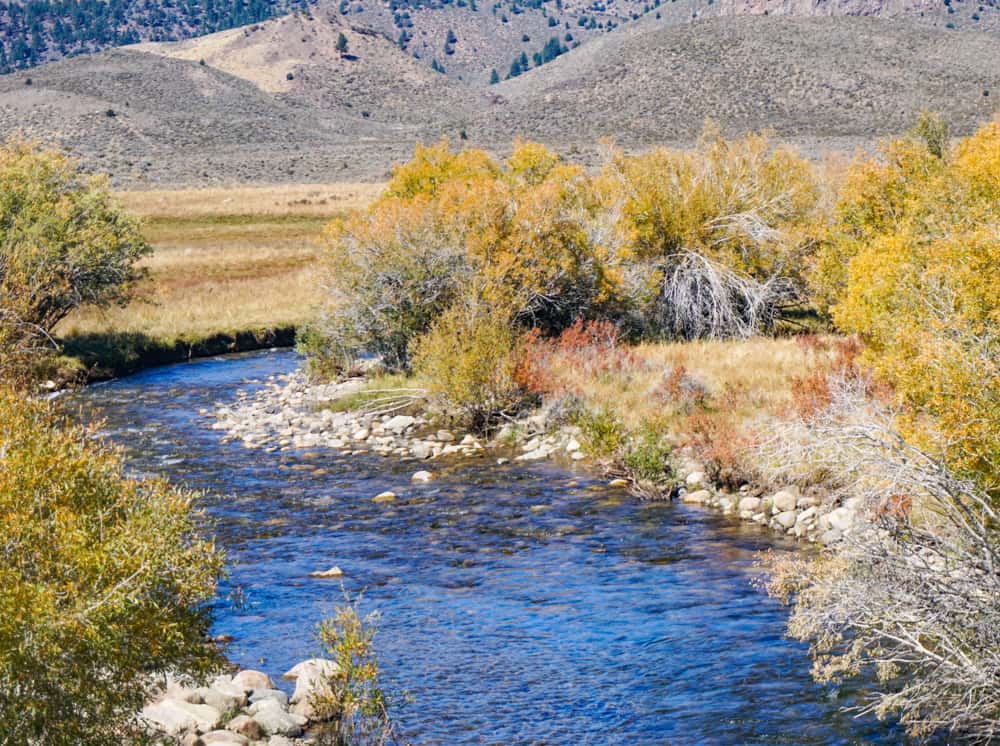 Walker River at Sonora Pass Road in the Eastern Sierra of California
