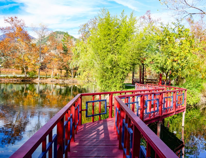 Jade Lake, Chateau Montelena Winery, Calistoga, CA