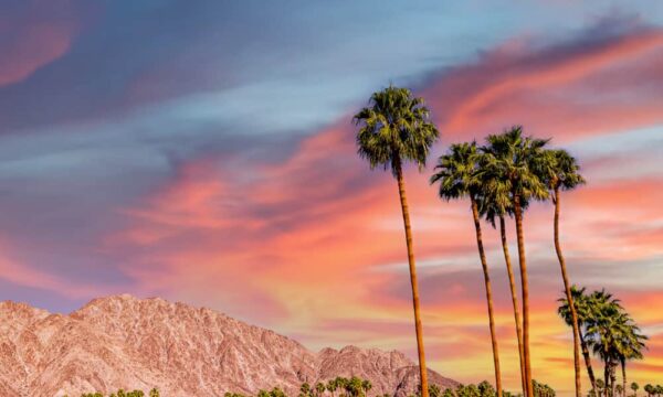 The Ultimate 3 Day Weekend in Palm Springs Itinerary!