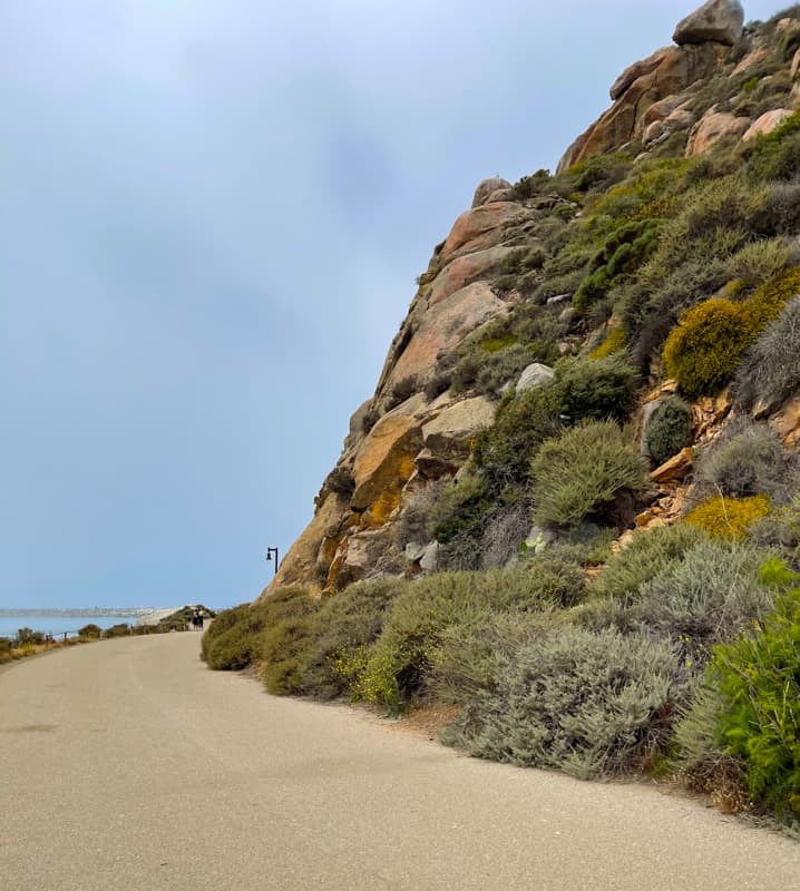 Walk along the side of Morro Rock in Morro Bay, California