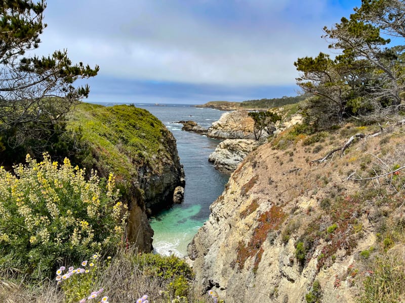 A view from the Bird Island Trail in Point Lobos