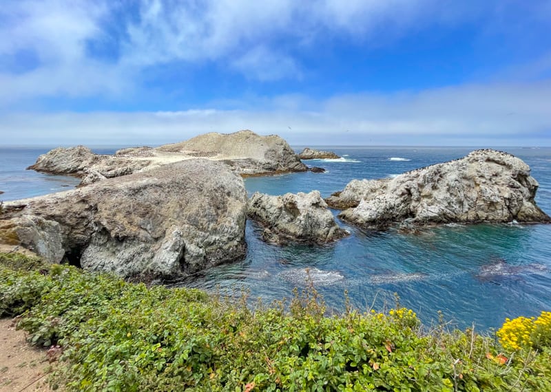 Bird Island at Point Lobos State Natural Reserve in Carmel CA