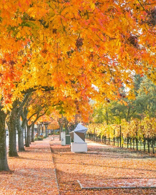 Yountville, CA -- The Napa Valley is one of the best weekend getaways in California.