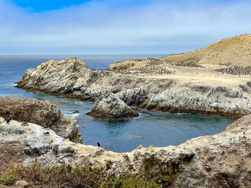 Bird Island at Point Lobos State Natural Reserve in California