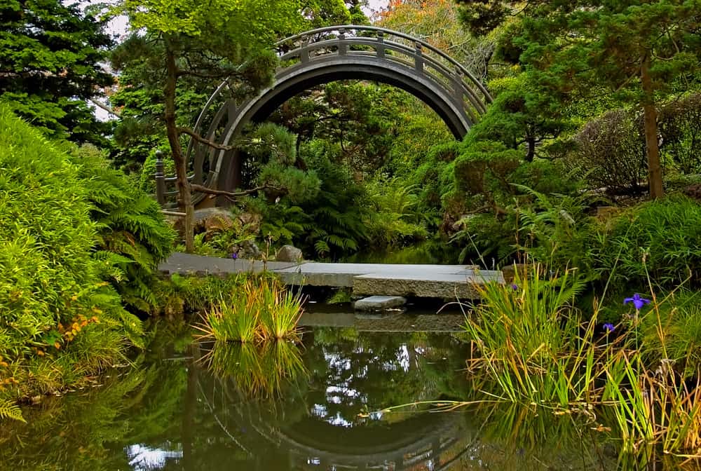 The Drum Bridge at the Japanese Tea Garden in San Francisco, CA