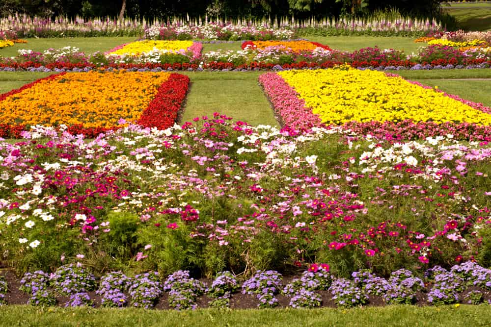 Flower beds at the Conservatory of Flowers in Golden Gate Park in San Francisco, California