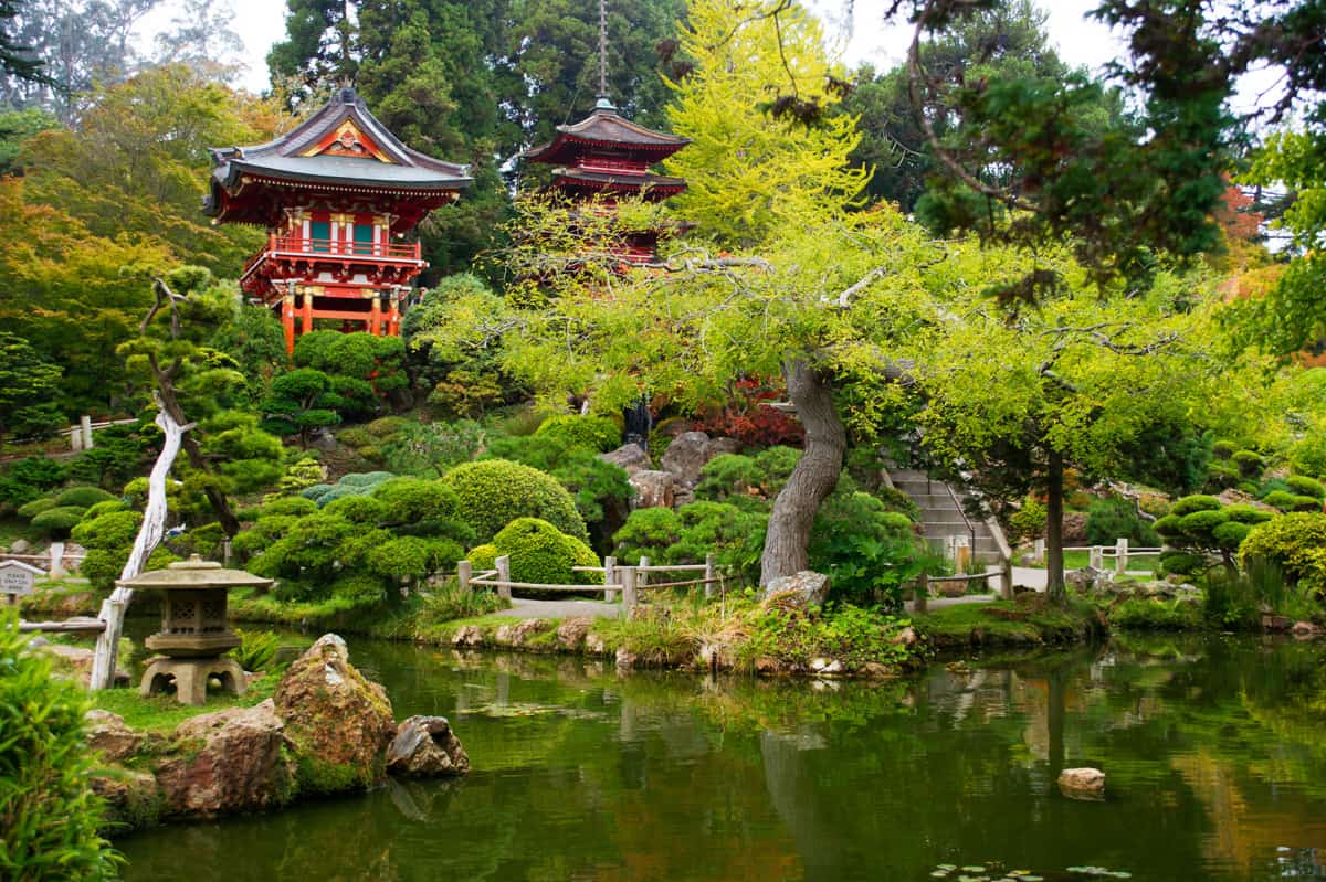 Strolling the Japanese Tea Garden, one of the best things to do in Golden Gate Park in San Francisco