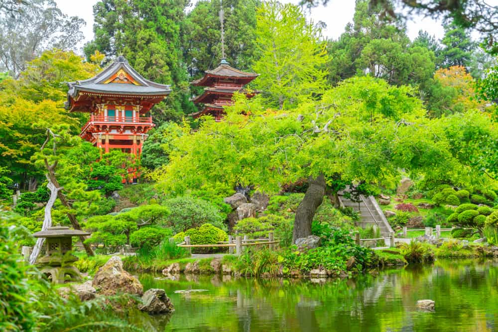 Pagoda and Temple Gate in the Japanese Tea Garden in San Francisco, CA