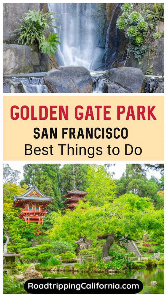 Discover the best things to do in Golden Gate Park, San Francisco, from the Japanese Tea Garden to the California Academy of Sciences and the de Young Museum!