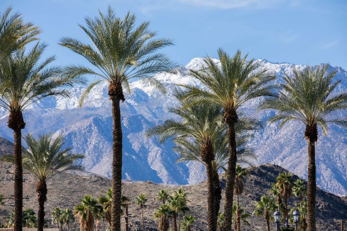 Mountain views in Palm Springs, California
