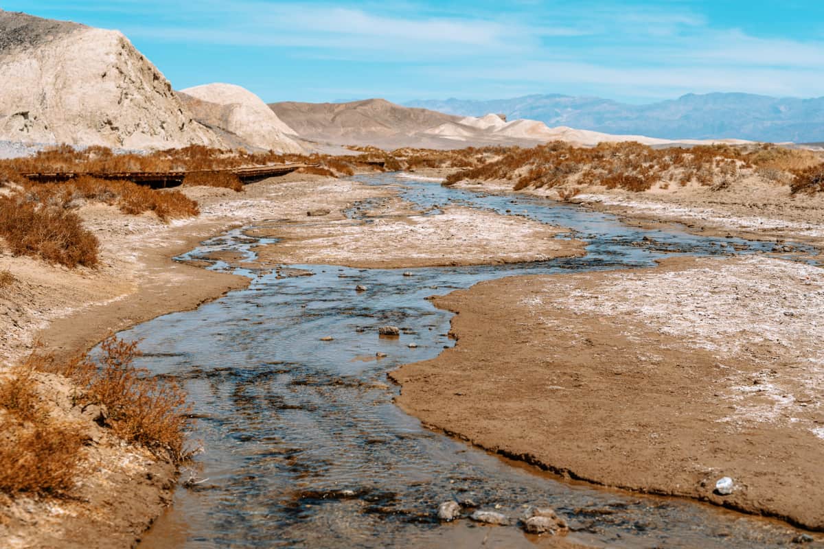 Salt Creek Interpretive Trail is a must-do in Death Valley National Park California